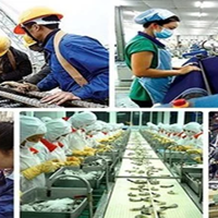 Chính thức công bố Chương trình Toàn cảnh Kinh tế tư nhân Việt Nam triển khai thực hiện Nghị quyết 68/NQ-TW