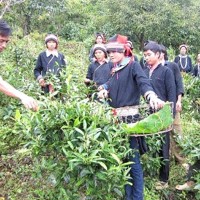 Củng cố hệ thống chính trị cơ sở: Chìa khóa xây dựng nông thôn mới