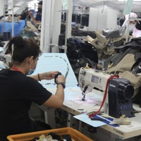 Vĩnh Long: Thành lập Ban chỉ đạo phát triển kinh tế tư nhân