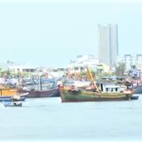 TP Đà Nẵng: Khai thác nuôi trồng thủy sản tiếp đà tăng trưởng