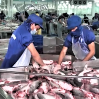 Hà Nội nâng cao chất lượng, chế biến, gia tăng giá trị nông sản
