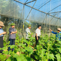 Chuyển đổi cơ cấu cây trồng, vật nuôi: Chìa khoá để phát triển nông thôn, nông nghiệp bền vững