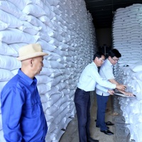 Đấu thầu thành công mua bổ sung 200.000 tấn gạo và 80.000 tấn thóc nhập kho dự trữ 