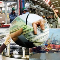 Triển khai thi hành Luật Quản lý và đầu tư vốn nhà nước tại doanh nghiệp