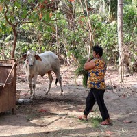 An Giang tập trung mọi nguồn lực chăm lo cho người nghèo