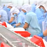 Khai thác hiệu quả thị trường nội địa - Động lực mới cho ngành cá tra Việt Nam