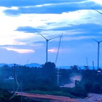 Đắk Lắk tích cực đôn đốc 166 doanh nghiệp nợ thuế 