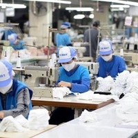 Thống kê lao động Việt Nam: Từ hiện đại hóa đến hội nhập toàn cầu