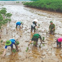 Chủ động phòng ngừa, kiểm soát tác động của biến đổi khí hậu Chủ động phòng ngừa, kiểm soát tác động của biến đổi khí hậu