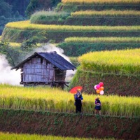 Ban hành quy định mới về phân định vùng đồng bào dân tộc thiểu số và miền núi giai đoạn 2026–2030 Ban hành quy định mới về phân định vùng đồng bào dân tộc thiểu số và miền núi giai đoạn 2026–2030