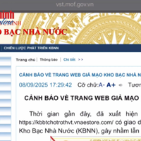VIDEO: Cảnh báo trang web giả mạo cổng thông tin điện tử của Kho bạc Nhà nước