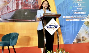 Chùm ảnh: Hiệu ứng lan tỏa từ tọa đàm “Chính sách tài chính phát triển logistics xanh”
