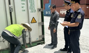 TP. Hồ Chí Minh: Thu ngân sách từ xuất nhập khẩu và nội địa đều tăng cao