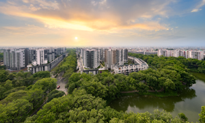 Bất động sản TP. Hồ Chí Minh hút mạnh dòng tiền từ nhà đầu tư phía Bắc 