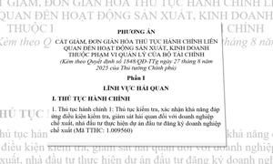 VIDEO: Đơn giản hóa thủ tục hải quan, doanh nghiệp tiết kiệm thời gian và chi phí