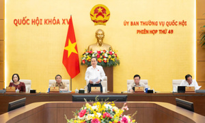 Tại Phiên họp thứ 49, Ủy ban Thường vụ Quốc hội sẽ xem xét 14 dự án luật