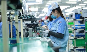 Nguyên tắc áp dụng quy định về thuế thu nhập doanh nghiệp bổ sung tối thiểu nội địa đạt chuẩn