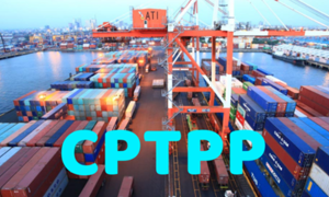 Hàn Quốc coi CPTPP là tấm khiên chắn trước cơn bão thuế quan