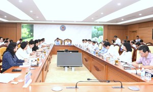 Phối hợp chặt chẽ, đảm bảo tiến độ, chất lượng các báo cáo, dự án luật trình Quốc hội