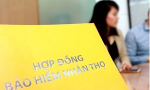 Nhiều doanh nghiệp bảo hiểm nhân thọ “bốc hơi” lợi nhuận trong nửa đầu năm 2025