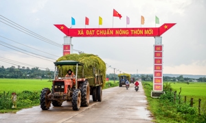 VIDEO: Chung tay dựng xây nông thôn mới – Khi lòng dân hoá thành sức mạnh