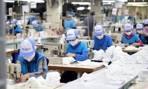 Thống kê lao động Việt Nam: Từ hiện đại hóa đến hội nhập toàn cầu