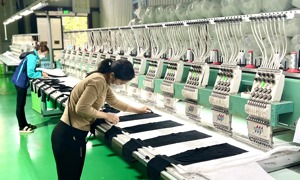 Dòng vốn đúng hướng tạo sức bật cho nền kinh tế và doanh nghiệp