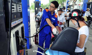 Dự báo giá xăng dầu giảm trong kỳ điều hành ngày mai (23/10)