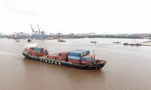 VIDEO: Đảm bảo C/O VIFTA hợp lệ để được giảm thuế về 0%