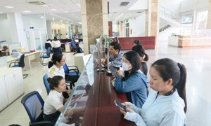 TP. Hồ Chí Minh: Triển khai nhiều chính sách hỗ trợ người nộp thuế bị tổn thất do thiên tai