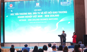 Cầu nối thúc đẩy hợp tác thương mại Việt Nam - New Zealand Cầu nối thúc đẩy hợp tác thương mại Việt Nam - New Zealand