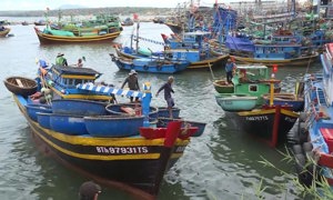 Đề xuất hỗ trợ người dân đặc khu Phú Quý (Lâm Đồng) tham gia BHXH tự nguyện