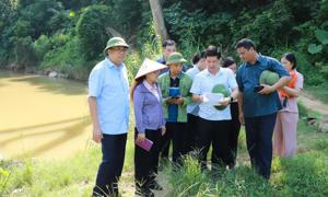 Thái Nguyên: Chuyển biến mạnh mẽ trong công tác giảm nghèo bền vững