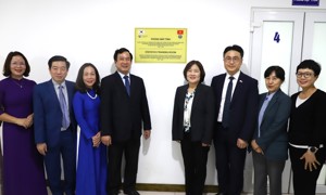 VIDEO: Tổng kết Dự án hợp tác thống kê giữa Việt Nam - Hàn Quốc