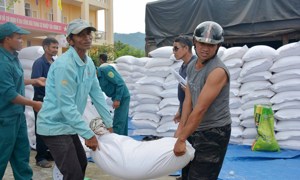 Chùm ảnh: Khẩn trương cấp phát gạo dự trữ quốc gia hỗ trợ tỉnh Đắk Lắk