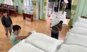 VIDEO: Bộ Tài chính kịp thời hỗ trợ các địa phương ứng phó, khắc phục hậu quả mưa lũ