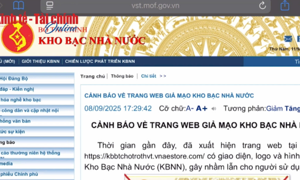 VIDEO: Cảnh báo trang web giả mạo cổng thông tin điện tử của Kho bạc Nhà nước