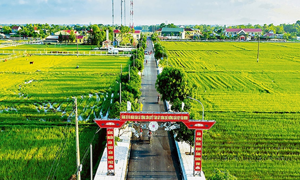 Chung sức xây dựng Nông thôn mới - Vì một nông thôn đáng sống, văn minh, hiện đại