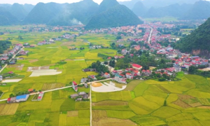 Đồng bào các dân tộc thiểu số đoàn kết, phát huy nội lực, hội nhập và phát triển