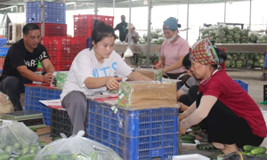Thủ tục hành chính mới trong lĩnh vực thành lập và hoạt động của hợp tác xã