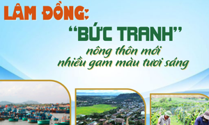 EMAGAZINE: Lâm Đồng: “Bức tranh” nông thôn mới nhiều gam màu tươi sáng 