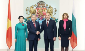 Tổng Bí thư Tô Lâm hội đàm với Tổng thống Bulgaria Rumen Radev