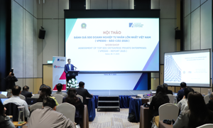 VIDEO: Tạo động lực thúc đẩy sự phát triển của doanh nghiệp tư nhân quy mô lớn VIDEO: Tạo động lực thúc đẩy sự phát triển của doanh nghiệp tư nhân quy mô lớn