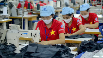 Làn sóng doanh nghiệp mới lập kỷ lục: Tín hiệu lạc quan từ kinh tế tư nhân