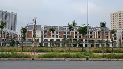 Kỳ vọng khởi sắc các phân khúc nhà ở thấp tầng