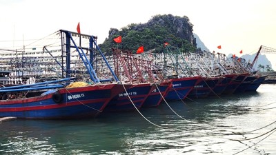 Thành lập 2 đoàn công tác chỉ đạo chống bão số 3 Wipha tại cảng biển phía Bắc