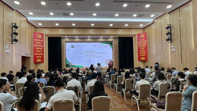 Đào tạo chuyên sâu quản trị rủi ro cho công ty chứng khoán trong bối cảnh thị trường bứt phá