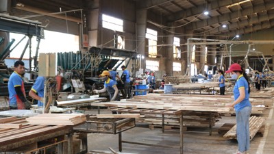 Đắk Lắk: Phấn đấu tăng trưởng kinh tế đạt 8,64% trong 6 tháng cuối năm