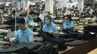 Vĩnh Long: 6 tháng, chỉ số sản xuất công nghiệp tăng 14% so với cùng kỳ