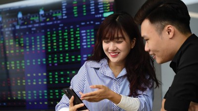 Thị trường chứng khoán Việt Nam rực rỡ nhưng chưa “chói lóa”
